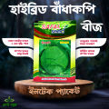 Indispensable - Hybrid Cabbage (pata kopi) seeds 1 intake packet (05 gram) - Tools, DIY & Outdoor - Modern and Trendy - Excellent. 