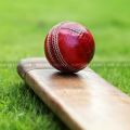 Premium Professional Cricket Ball Leather A Grade Four Part Balls Imported From Shilkot Pakistan 4 Parts (Bag Free). 