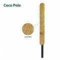 12 Inch Coir Grow Stick – 3Pcs.