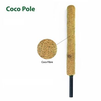12%20Inch%20Coir%20Grow%20Stick%20%E2%80%93%203Pcs%20-%20Image%203