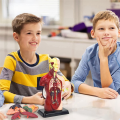 Human Body Model for Kids Multicolor Human Torso Anatomy Model Toys 8 Pcs Removable Anatomy Doll with Heart & Organs. 