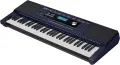 Roland E-X30 Arranger 61 Key Keyboard. 