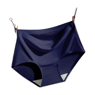 Ice%20Silk%20Panties%20Ladies%20Underwear%20Panty%20-%20Image%207