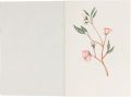 Papertree Vintage Cover Sketch Pad Notebook | A5 Cartridge Paper for Sketching, Pastel & Fountain Pen. 