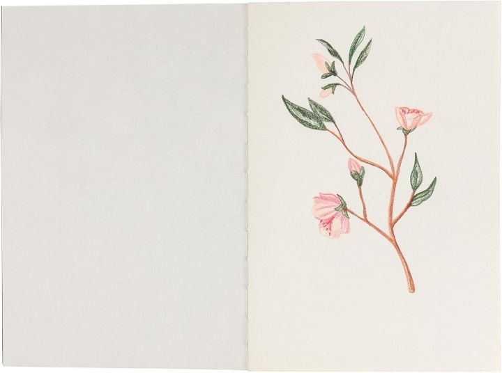 Papertree%20Vintage%20Cover%20Sketch%20Pad%20Notebook%20%7C%20A5%20Cartridge%20Paper%20for%20Sketching,%20Pastel%20&%20Fountain%20Pen%20-%20Image%205