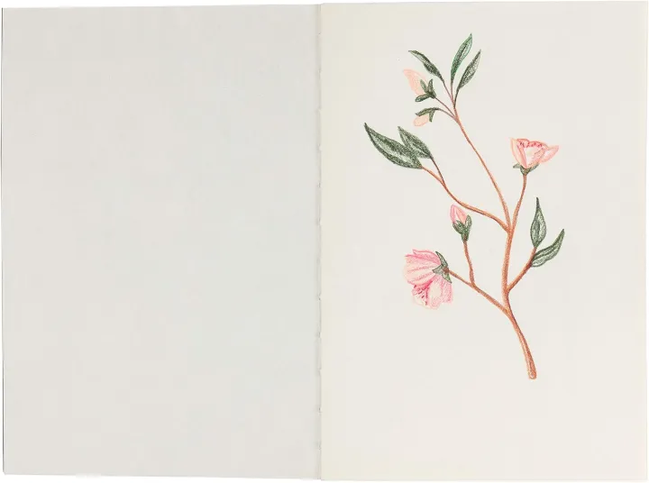 Papertree%20Vintage%20Cover%20Sketch%20Pad%20Notebook%20%7C%20A5%20Cartridge%20Paper%20for%20Sketching,%20Pastel%20&%20Fountain%20Pen%20-%20Image%205