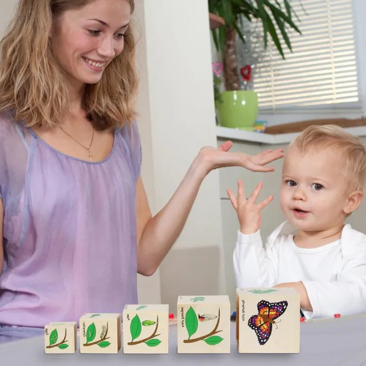 Life%20Cycle%20Toys%20Montessori%20Wooden%20Blocks%20Life%20Cycle%20Kit%20Toy%20Stacking%20Blocks%20Kids%20Figure%20Match%20Set%20Toy%20Stacking%20Block%20Sets%20-%20Image%206