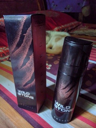 Wild%20Stone%20-%20Original%20Copper%20No%20Gas%20Body%20Spray%20For%20Men%20-%20120ml%20-%20Image%202