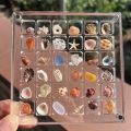 GC Magnetic Seashell Display Box Dustproof Stackable Transparent Acrylic Display Box Ornament Birthday Gifts For Men Women. 