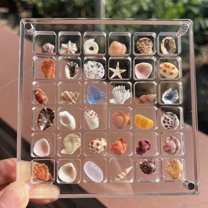 GC Magnetic Seashell Display Box Dustproof Stackable Transparent Acrylic Display Box Ornament Birthday Gifts For Men Women