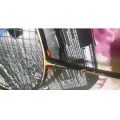YONEX Carbon 25 Badminton Racquet. 