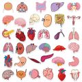 65Pcs Cartoon Human Body Organ Stickers Waterproof Sticker Anatomy Map Decals for Water Bottle Laptop Luggage Phone Kids Toys.