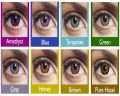 FreshLook Power contact lens Pure Hazel. 