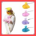 VibeVendor Bird leash, Pet Parrot Bird Harness and Leash Flying Rope Straps Outdoor Bird Flying Harness Training Traction Rope for Budgerigar Cockatiel Small Birds.