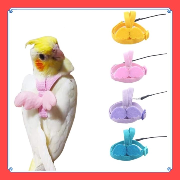 VibeVendor Bird leash, Pet Parrot Bird Harness and Leash Flying Rope Straps Outdoor Bird Flying Harness Training Traction Rope for Budgerigar Cockatiel Small Birds