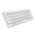 HXSJ V900 Wired 61 Keys Compact Mechanical Keyboard RGB Backlit Keyboard N-key Rollover Blue Switch Double Shot Keycaps, White. 