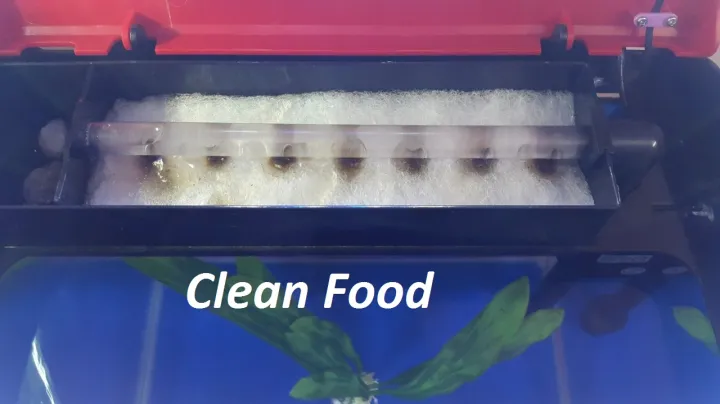 Aquarium%20Filter%20floss%20(6%20inch%20x%2012%20inch)%201%20piece%20Aquarium%20Filter%20Super%20Thick%20Biochemical%20Filter%20Cotton%20Sponge%20for%20Aquarium%20Fish%20Tank%20%20%20%7C%20Can%20be%20Use%20in%20Top%20filter,%20Hob%20Filter,%20Sump%20Filter,%20Power%20Filter%20-%20Image%206