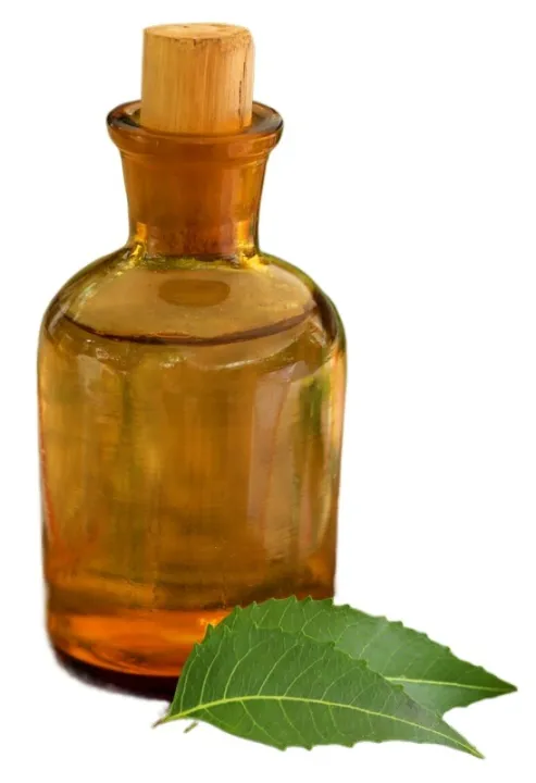 Neem%20Oil%20Nim%20Tel%2050%20Ml%20Natural%20Herbal%20Remedy%20for%20Skin%20And%20Hair%20Care%20Traditional%20Medicine%20from%20India%20-%20Image%208