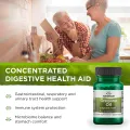 Swanson Oregano Oil 10:1 Extract - 120 Softgels. 