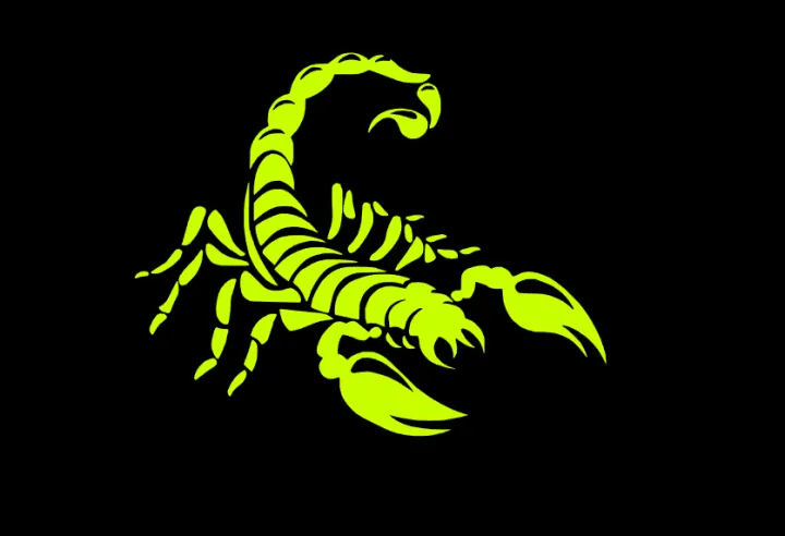 Scorpion%20sticker%20for%20bike%20-%20Image%206