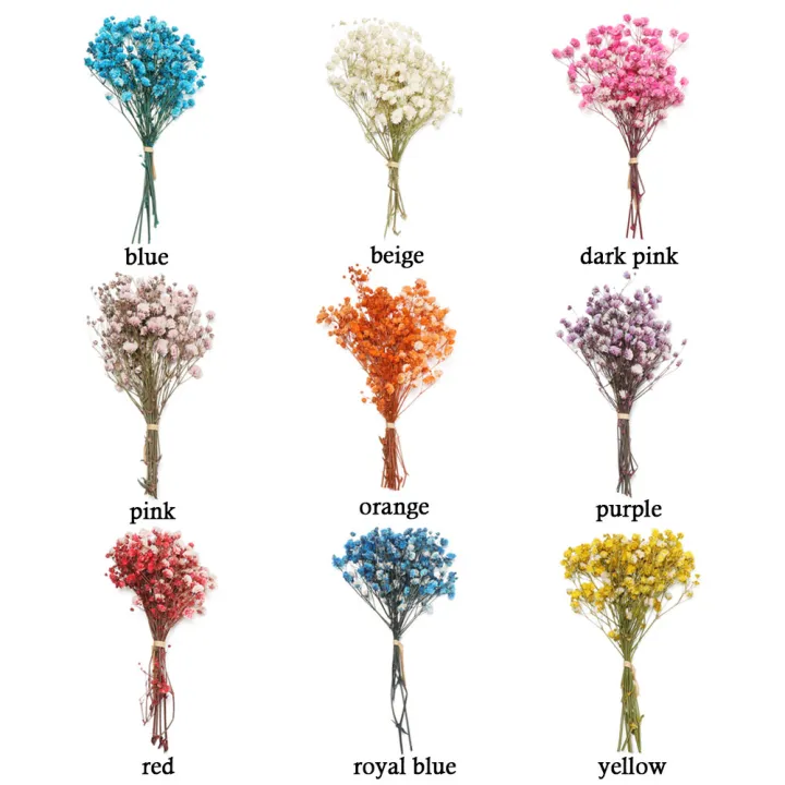Small%20Natural%20Dried%20Flowers%20Bouquet%20Natural%20Dried%20Bouquets%20Fresh%20Dried%20Preserved%20Flowers%20Dry%20Flowers%20Press%20Home%20Wedding%20Decor%20-%20Image%204