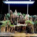 Natural Dragon Stone / Dragon Rock for Fish Aquarium Tank & Bowls 500g.