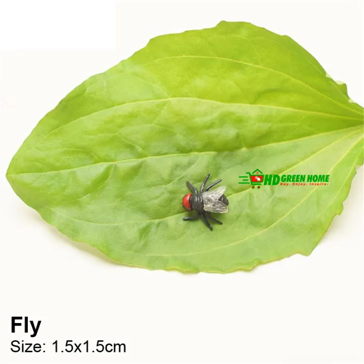 10%20pcs%20x%20Mixed%20Simulation%20Insect%20Toy%20Plastic%20Ant%20Centipede%20scorpion%20Fly%20Spider%20Prank%20Funny%20Toys%20-%20Image%207