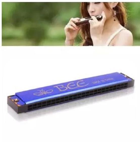 Bee%20Mouth%20Organ%20With%2048%20Holes%20Musical%20Instrument%20-%20Image%203