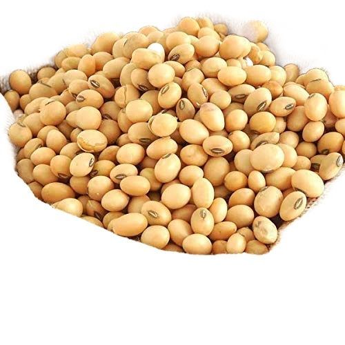 Soybean%20Seeds/%20Soybean%20Bichi/Bij-%20%20500%20gm%20-%20Image%204