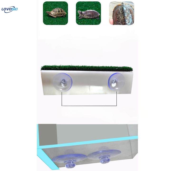 Turtle Resting Basking Aquarium Animal Sink Wharf for Frog Terrapin S