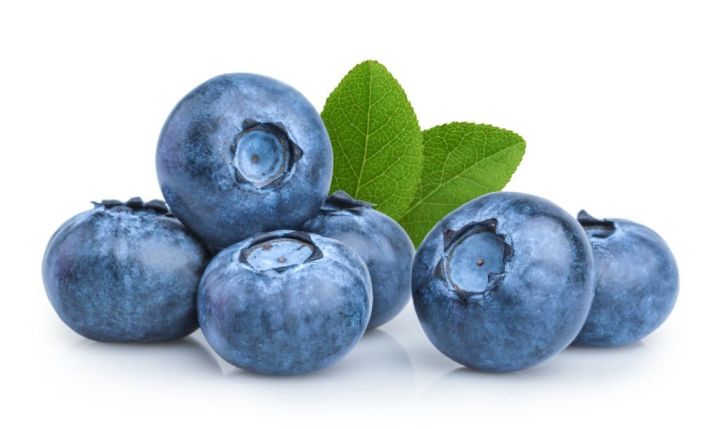 Blueberry%20Fruit%20Seeds%20-%2050%20Pieces%20+gift%20(%20best%20quality%20seeds%20and%2099%25%20germination%20rate)%20-%20Image%208