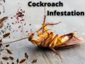 Roca Cockroach Gel, Cockroach Killing Gel, Cockroach &  Ant killer, Pest Killer Gel, Pest Control- Cockroach Gel. 