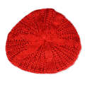 2020 Korean version new autumn and winter big bud Fried Dough Twists ball knitted hat women's wool beret.