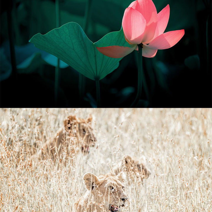 Professional%20Astronomical%20Telescope%20Powerful%20Monocular%20Portable%20HD%20Moon%20Space%20Planet%20Observation%20Gifts%20for%20Children%20-%20Image%205