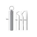 03 Pcs/set Stainless Steel Dental Kits Keychain Pocket Metal Toothpick Set Flossing Tools With Portable Toothpick Holder Outdoor Household Travel Seal Storage.
