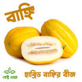 Progressive - Urban Vibes - " Muskmelon Fruit (Bangi) Seeds - (20 Piece)" - Tools, DIY & Outdoor - Unrivaled in Genre - Excellent. 