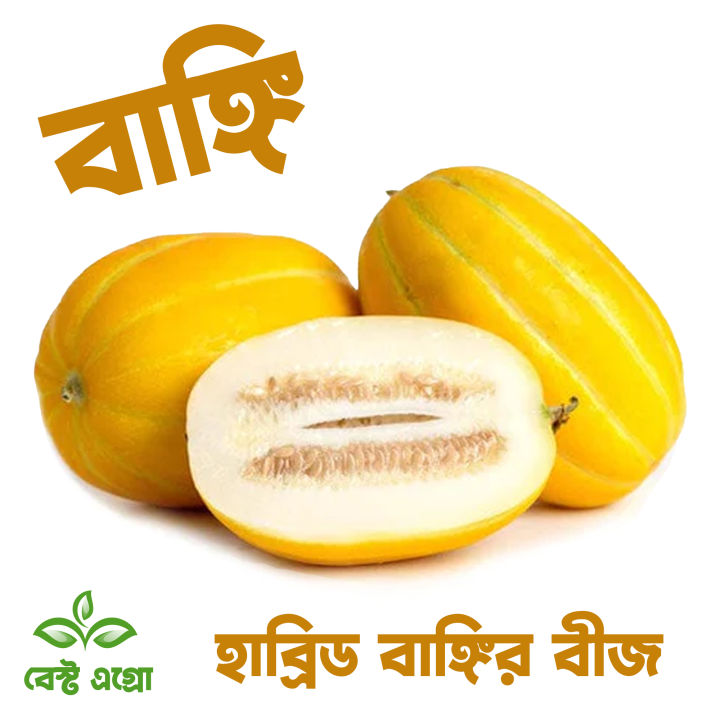 Progressive - Urban Vibes - " Muskmelon Fruit (Bangi) Seeds - (20 Piece)" - Tools, DIY & Outdoor - Unrivaled in Genre - Excellent