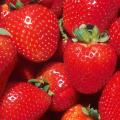 20Pcs Red Strawberry Climbing Strawberry Four Season Fruits Seeds.