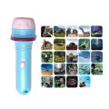 Montessori Flashlight Toy Cartoon Animation Projector Toy Electric Torch Hand Shadow Game Set Early Learning Kids Gift.