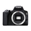 Canon Eos 250D Digital Slr Camera 24.1 megapixel Dual Pixel CMOS AF Dslr Camera Optical viewfinder - Black. 