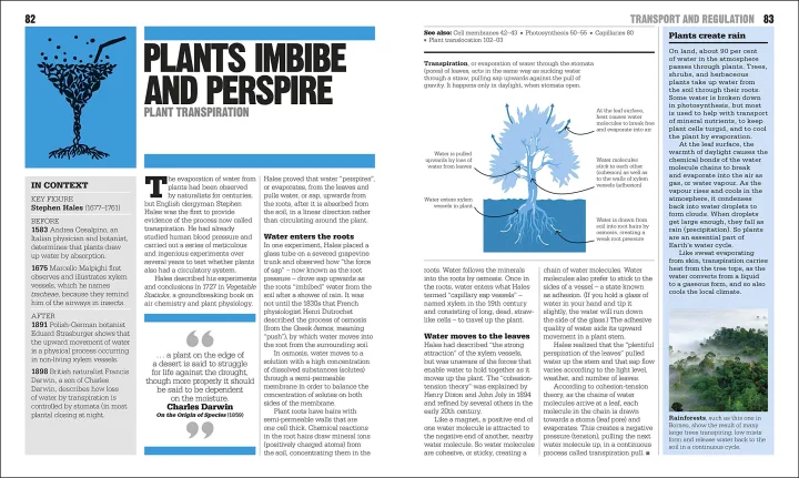 The%20Biology%20Book:%20Big%20Ideas%20Simply%20Explained%20Hardcover%20-%20Image%206