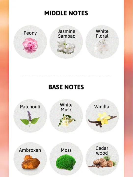 Give%20Me%20Twice%20Perfume%20Lotion%20150ml%20Cathy%20Doll%20(B)%20(Made%20in%20thailand)%20-%20Image%206