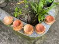 Customized Handmade Mahogany Wooden Cup - Unique and Personalized Gift for Your Loved Ones - Wooden Cup.