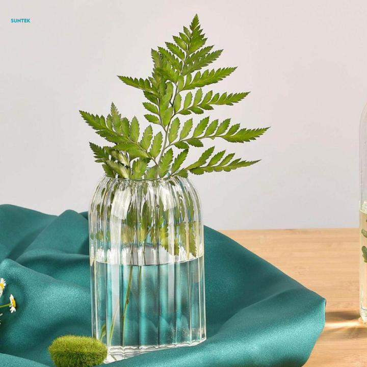 Glass Vase Simple Flower Container Glass Bottle Flower Vases Plant Holder  9cmx15cm