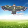High Strength Eagle Kite, Kids Kite, Children for Outdoor Kids Adults.