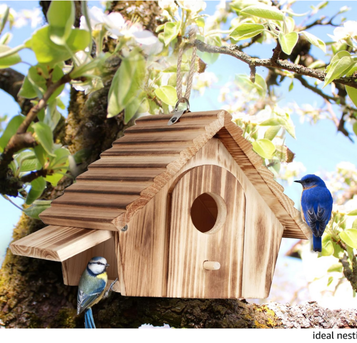 Hanging Outdoor Birdhouse - Natural Wood Bird Nesting Box for Bluebirds ...