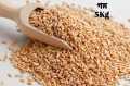 Organic Wheat Grain (গমের দানা ) 5Kg. 