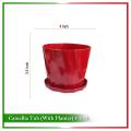 4 Inch Camellia Tub With Tray - 2 Pcs.