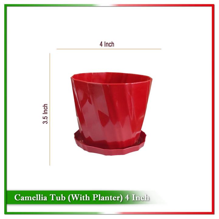 4 Inch Camellia Tub With Tray - 2 Pcs