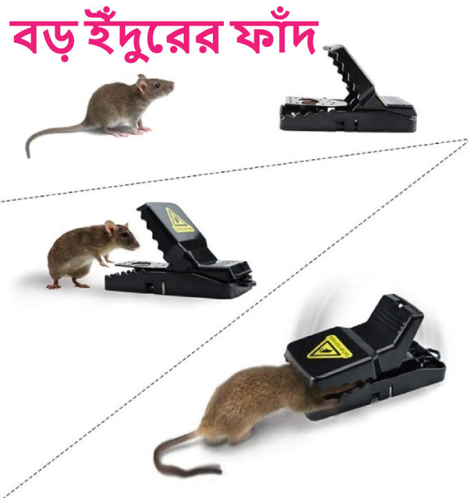 Mouse/Rat%20Trap%20for%20House%20and%20Office%20Mouse%20Killer%20Trap%205%C3%973%C3%973%20inches%20-%20Image%206